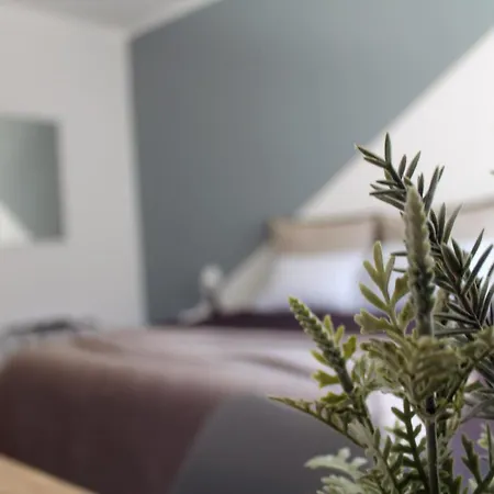 City Center Guest house *